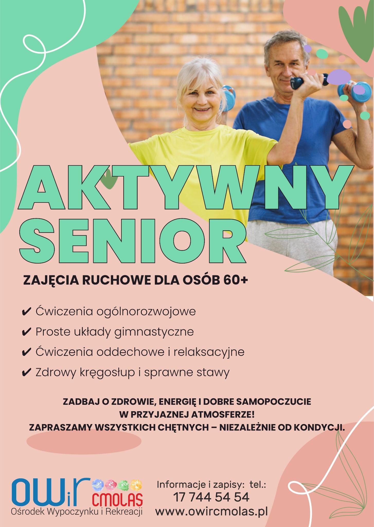 Oferta fitness w pigułce